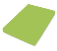 Bassetti Boxspring 9302283 Kiwi 185 Drap-Housse en Coton et élasthanne Kiwi 180 x 200 cm / 200 x 220 cm