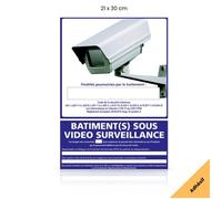 Bâtiments sous vidéo surveillance panneau signalisation information autocollant - Adhésif - 210 x 300 mm