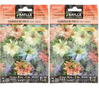 Batlle NIGELLE DE Damas (Lot de 2)