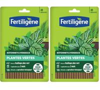Bâtonnets d'engrais plantes vertes 40 bâtonnets (Lot de 2)