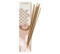 Bâtons Parfumés Iris Cachemire - Esteban Paris