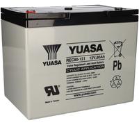 Batterie AGM au plomb Yuasa REC80-12I, 12V, 80Ah, avec filetage intérieur M6