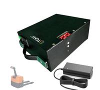 Batterie au lithium 24V / 48V pour transpalette électrique | Carte BMS intégrée, boîtier résistant à l'eau, indicateur de niveau de charge, poignée de transport, avec chargeur
