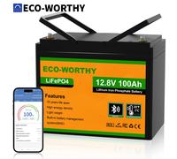 Batterie au lithium ECO-WORTHY LiFePO4 100Ah Bluetooth 12 V 100 Ah avec protection contre les basses températures BMS et puissance maximale pour panneau solaire Orange