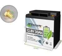 Batterie au lithium LiFePO4, capacité de 30 Ah, sûre et durable, rose
