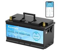 batterie au lithium-phosphate de fer 12V, options de 100Ah/120Ah, fonction de protection BMS intégrée, 12V 100AH BT