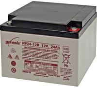 Batterie au plomb 12 V 24 Ah EnerSys Genesis plomb (AGM) (l x H x P) 166 x 125 x 175 mm raccord à vis M5 sans entretien, certification VdS, auto-décharge