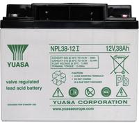 Yuasa Batterie au plomb NPL38-12 12 V 38 Ah AGM 197 x 170 x 165 mm M5 sans entretien