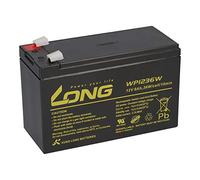 Batterie au plomb 12 V 9 Ah WP1236W compatible USV APC Back UPS 650 700 800 RBC17 RBC 17