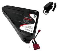 Batterie, capacité de 40 Ah, boîtier rigide étanche, modèle 48V40AH-T