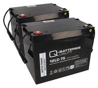 Batterie de rechange f. Invacare Dragon 2x batterie au plomb 12LC-75 M6 12V 75Ah résistant au cyclage QB