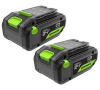 Batterie Greenworks TwinPack 24V 4Ah, rechargeable, haute performance, avec port USB-C