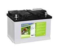 Batterie humide clôture à décharge lente Ako Blanc 12 V/100 Ah