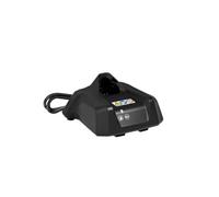 Batterie Li-ION 36 V for Stihl série AK - Compatible avec ALLCCX AK10, AK20, AK30S et chargeurs AL1, AL101, AL300(AL1 Charger Only)