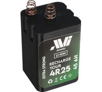 Batterie Li-ion 4R25R compatible avec la batterie bloc 4R25 / 45 Ah, batterie bloc 430, type 4R25C