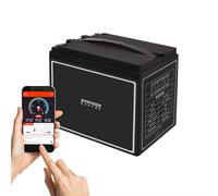 batterie Lifepo 4 Lithium 40Ah 12V | Batterie avec BMS, Bluetooth