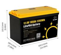 Batterie LiFePO4 12,8 V 100 Ah - Boîtier de stockage d'énergie 1 280 Wh - BMS intégré - Affichage LCD de la capacité