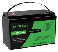 Batterie LiFePO4 - 12,8 V, 100 Ah, cycle profond - BMS intégré - Décharge continue 100 A - Courant de pointe 200 A pendant 1 s - Pour installations solaires, camping-cars - Vert