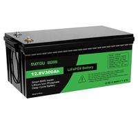 Batterie LiFePO4 12 V 300 Ah - Cycle profond - Capacité de 3 840 Wh - BMS intégré - Courant de décharge max. 200 A - Plus de 8 000 cycles - Courant de charge max. 100 A - Vert