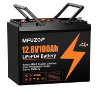 Batterie LiFePO4 12 V - MF-100A-12V-B - 100 Ah, 1 280 Wh - BMS intégré - Charge max. 50 A - Résistante aux cycles - Pour camping-cars, bateaux et installations solaires