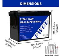 Batterie LiFePO4 12V - 100Ah - 12,8 Volt - 10 kg - Batterie lithium fer phosphate