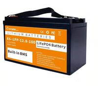 Batterie LiFePO4 12V 100Ah – Batterie lithium – Batterie AGM – Batterie solaire – Batterie pour camping-car – Système de gestion de batterie (BMS) intégré – Conception compacte et robuste