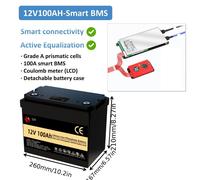 Batterie LiFePO4 12V 100Ah - Batterie lithium - Batterie solaire - Batterie pour bateau - Batterie pour camping-car - Système de gestion de batterie (BMS) intelligent 100A