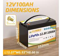 Batterie LiFePO4 12V 100Ah - Batterie lithium - Batterie solaire - Batterie pour camping-car - Batterie pour coffre - 6000 cycles - Étanchéité IP65