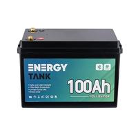 Batterie LiFePO4 12V 100Ah Smart Bluetooth avec BMS intégré IP67 | Batterie lithium fer phosphate à décharge profonde, plus de 3000 cycles et capacité utile à 100%