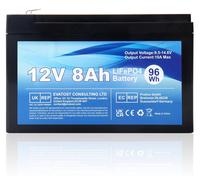 Batterie LiFePO4 12V 8Ah 96Wh, avec système de gestion de batterie (BMS), cycle de vie prolongé, idéale pour le camping et l'énergie solaire