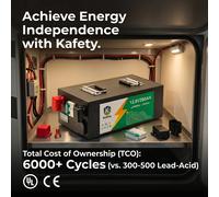 Batterie LiFePO4 24V 100Ah 2560Wh à décharge profonde, Lithium 100A BMS, 6000+ cycles pour VR, solaire, marine, hors réseau, décharge à basse température 12V 200AH-2560Wh