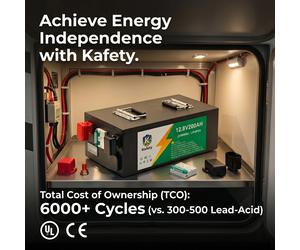 Batterie LiFePO4 24V 100Ah 2560Wh à décharge profonde, Lithium 100A BMS, 6000+ cycles pour VR, solaire, marine, hors réseau, décharge à basse température 12V 200AH-2560Wh