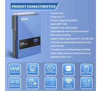 Batterie LiFePO4, 51,2 V, 100 Ah, 5,12 kWh, plus de 6000 cycles, système de gestion de batterie (BMS) 16S