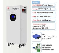 Batterie LiFePO4 - 51,2 V, 300 Ah - 15,36 kWh - 10 000 cycles - Pour systèmes solaires autonomes - CAN/RS485
