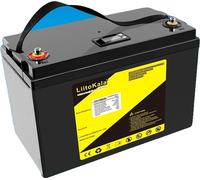 Batterie LiFePO4 à cycle profond, 12V, capacité 100Ah-150Ah, 12.8V100Ah(LCD)