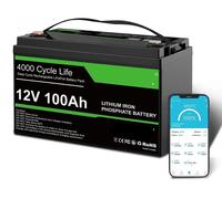 Batterie LiFePO4 - Batterie 12V - Batterie pour camping-car - Batterie pour énergie solaire - Système de stockage d'énergie - Capacité de 100 Ah