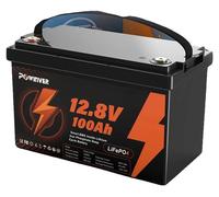 Batterie LiFePO4, capacité de 100 Ah, BMS intégré, 12 V - 100 Ah, 100 Ah et plus