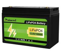 Batterie LiFePO4, capacité de 100 Ah, connectivité Bluetooth, 12V 100Ah