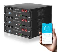 Batterie LiFePO4 - MF-3U-48100 - 51,2 V, 300 Ah - 5,12 kWh - Possibilité de connecter jusqu'à 15 unités en parallèle - RS485/CAN/RS232 - Pour systèmes solaires autonomes