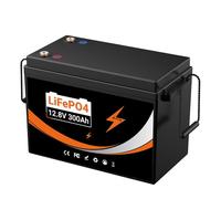 Batterie Lithium 12V(12.8V) 300Ah, Batterie LiFePO4 Rechargeable avec BMS 200A, 3840Wh, Pour Camping Car, Système Off-Grid, Bateau, Caravane, Solaire