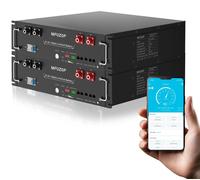 Batterie lithium-fer-phosphate (LiFePO4) - 51,2 V, 200 Ah - 5,12 kWh - Interfaces RS485/CAN/RS232 - Possibilité de connecter jusqu'à 15 unités en parallèle - Adaptée aux systèmes solaires autonomes
