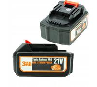 Batterie Lithium-ion 21 V, 3 Ah, compatible avec Animal Pro