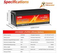 Batterie lithium-ion 24V 200Ah - Batterie LiFePO4 à cycle profond avec système de gestion de batterie (BMS), idéale pour les systèmes hors réseau et l'énergie solaire