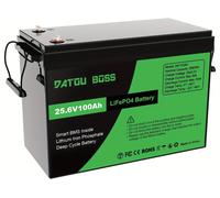 Batterie lithium-ion - Batterie LiFePO4 - Batterie - Batterie 24V - Batterie de stockage d'énergie - Capacité de 100 Ah - Système de gestion de batterie (BMS) intégré de 100 A