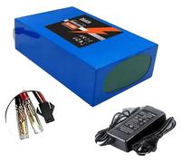 Batterie lithium-ion, capacité de 100 Ah, système de gestion de batterie (BMS) avancé pour une sécurité accrue, chargeur Bullet-SM