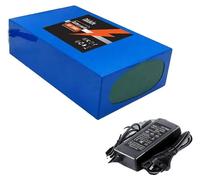 Batterie lithium-ion, capacité de 100 Ah, système de gestion de batterie (BMS) intégré, chargeur DC XT60