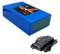 Batterie lithium-ion, capacité de 100 Ah, système de gestion de batterie (BMS) intégré, chargeur XT60-JST