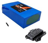 Batterie lithium-ion, capacité de 100 Ah, système de gestion de batterie (BMS) intégré, chargeur XT60-SM