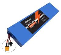 Batterie lithium-ion, capacité de 60 Ah, système de gestion de batterie (BMS) intelligent, connecteur XT60-SM, 48V
