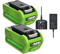 Batterie lithium-ion, capacité de 8 000 mAh, compatible avec les outils Greenworks 40 V, 2 batteries et 1 chargeur